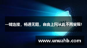 一键连接，畅通无阻，自由上网从此不再受限！